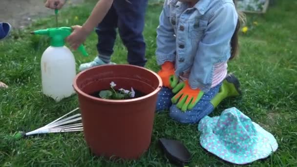 Feliz niña preescolar niño Hija usar trabajos guantes botas húmicas plantación de flores en maceta en el jardín. Niño Ayudando a la madre fuera. Naturaleza familiar jardering, concepto ambiental Primavera Verano — Vídeos de Stock