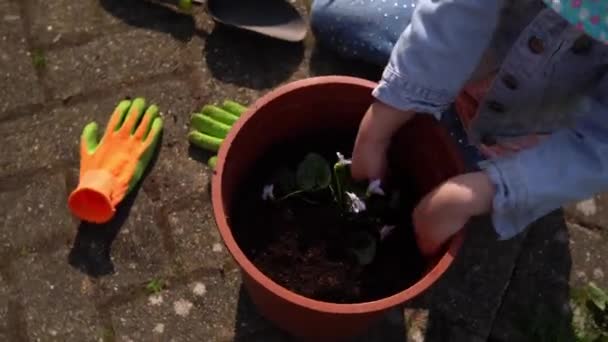 Happy Preschool petite fille enfant Fille porter travaille gants bottes humiques plantation de fleurs en pot dans le jardin. Enfant Aider la mère à l'extérieur. Famille Nature jardinage, environnement Printemps Été concept — Video