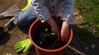 Mutlu okul öncesi küçük kız çocuğu iş eldivenleri giyer bahçedeki saksıya çiçek eker. Çocuk annesine dışarıda yardım ediyor. Aile Doğa Gargara, Çevresel Bahar Yaz Konsepti