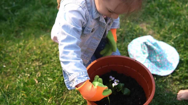 Mor hemmafru med barn Son Dotter bär fungerar handskar förbereda jord att plantera blommor hjälper mamma att ta hand om trädgården utanför. Hjälp gardering plantering miljö Familj Natur — Stockfoto