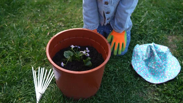 Ibu rumah tangga dengan anak-anak Anak Putri memakai sarung tangan mempersiapkan tanah untuk menanam bunga membantu ibu mengurus taman di luar. Membantu mengumpulkan tanaman Keluarga Alam — Stok Foto