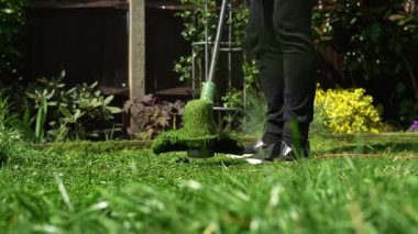 Çim biçme makinesi çim biçiyor. Çim biçme makinesinden çıkan küçük yeşil çim biçme makineleri peyzajcılar tarafından itilip kakılıyor. Ağır çekim. Bahçıvan adam bahçe bahçesinde çim biçme makinesiyle çalışıyor. Aile, iş.