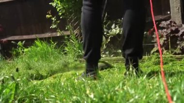 Çim biçme makinesi çim biçiyor. Çim biçme makinesinden çıkan küçük yeşil çim biçme makineleri peyzajcılar tarafından itilip kakılıyor. Bahçıvan Adam Sunny Day 'in dışındaki bahçede çim biçme makinesiyle çalışıyor. Doğa Ailesi, İş