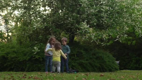 Boldog családi anya, két három kis testvér gyerekek futás ölelés csókolózás anya élvezi a nyári szünidő a kertben vagy parkban. Mosolygó szülők. A gyerekek együtt töltik a szabadidejüket. Este naplemente. — Stock videók