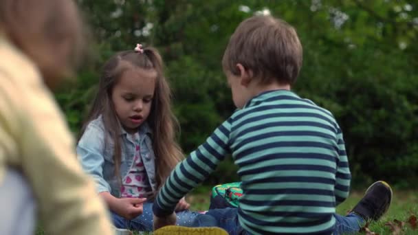 Friends selfie. Excited young children playing lying on grass meadow. Little brother and sister monkeying on camera and kissing. Family siblings play together outside in park garden summer holidays — Vídeo de Stock