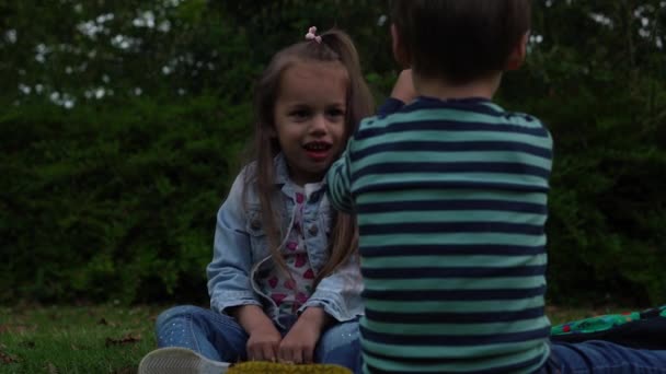 Selfie de amigos. Crianças animadas brincando deitadas no prado da grama. Irmãozinho e irmã monkeying na câmera e beijando. Os irmãos da família brincam juntos lá fora no jardim do parque férias de verão — Vídeo de Stock