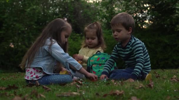 Amigos brincam com brinquedos Crianças excitadas brincando deitadas no prado da grama. Irmãozinho e irmã monkeying na câmera e beijando. Irmãos de família brincam juntos lá fora no jardim do parque verão — Vídeo de Stock