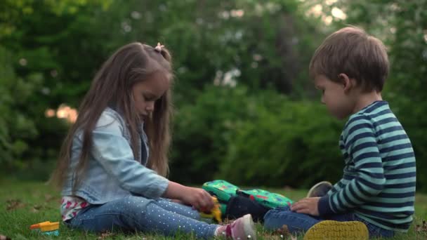 Friends selfie. Excited young children playing lying on grass meadow. Little brother and sister monkeying on camera and kissing. Family siblings play together outside in park garden summer holidays — Stockvideo