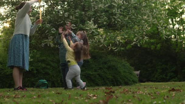 Happy family mother, two Three little siblings kids are blowing soap bubbles and enjoying summer holidays in garden or park . Smiling parents children are spending leisure time together evening sunset — Wideo stockowe
