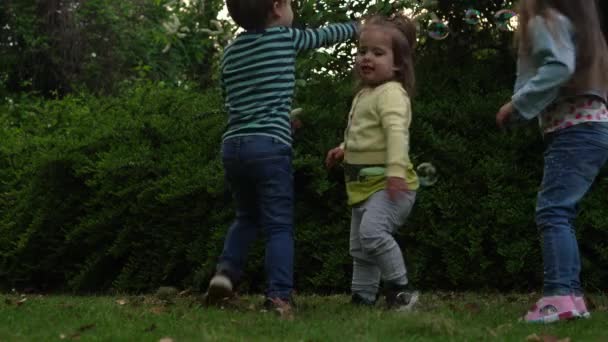 Mãe de família feliz, dois três irmãos mais novos crianças estão soprando bolhas de sabão e desfrutando de férias de verão no jardim ou parque. Sorrindo pais filhos estão passando o tempo de lazer juntos pôr do sol da noite — Vídeo de Stock