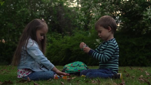 Friends selfie. Excited young children playing pat a cake on grass meadow. Little brother and sister monkeying on camera kissing. Family siblings play together outside in park garden summer holidays — ストック動画