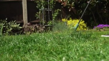 Çim biçme makinesi çim biçiyor. Çim biçme makinesinden çıkan küçük yeşil çim biçme makineleri peyzajcılar tarafından itilip kakılıyor. Bahçıvan Adam Sunny Day 'in dışındaki bahçede çim biçme makinesiyle çalışıyor. Doğa Ailesi, İş