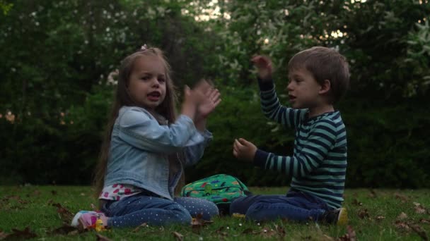 Friends selfie. Excited young children playing pat a cake on grass meadow. Little brother and sister monkeying on camera kissing. Family siblings play together outside in park garden summer holidays — Video