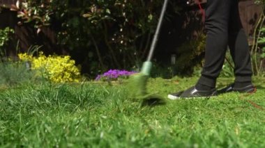 Çim biçme makinesi çim biçiyor. Çim biçme makinesinden çıkan küçük yeşil çim biçme makineleri peyzajcılar tarafından itilip kakılıyor. Bahçıvan Adam Sunny Day 'in dışındaki bahçede çim biçme makinesiyle çalışıyor. Doğa Ailesi, İş