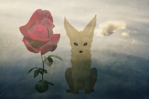 Fox and rose — Stock Photo, Image