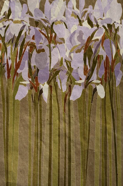 Blooming irises — Stock Photo, Image
