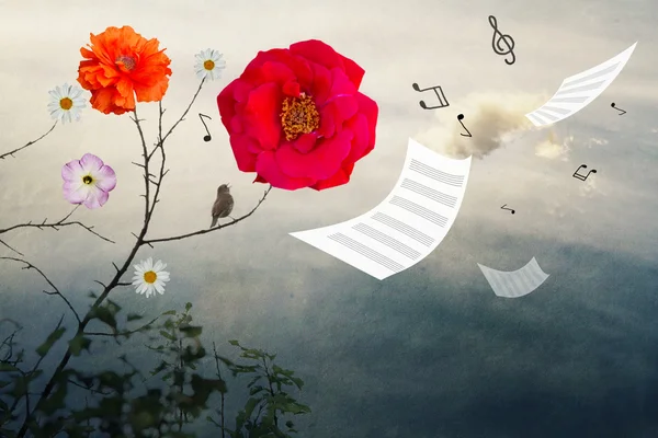 Nightingale sings in a tree with flowers, notes — Stock Photo, Image