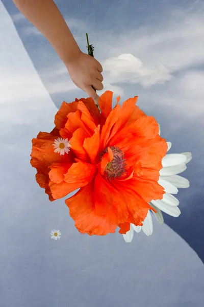 Mano de niña con una flor en el cielo de fondo con nube — Foto de Stock