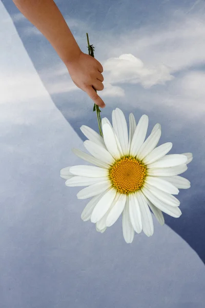Mädchenhand mit Blumen am Himmel mit Wolke — Stockfoto