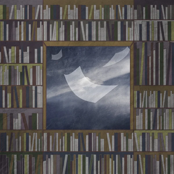 Μια βιβλιοθήκη με βιβλία, στη Βίβλο παράθυρο μυγών — Φωτογραφία Αρχείου