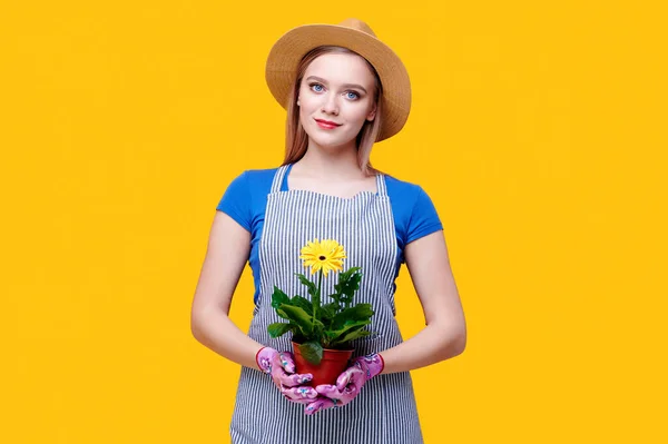 Jovem agricultor ou jardineiro em chapéu de palha e avental, luvas de borracha segurando gerbera flor em vaso em fundo amarelo — Fotografia de Stock