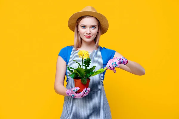 Jovem mulher branca sorridente segurando flor gerbera jardim jardineiro segurando flor gerbera em suas mãos cuida dele com espátula e ancinho no fundo amarelo — Fotografia de Stock