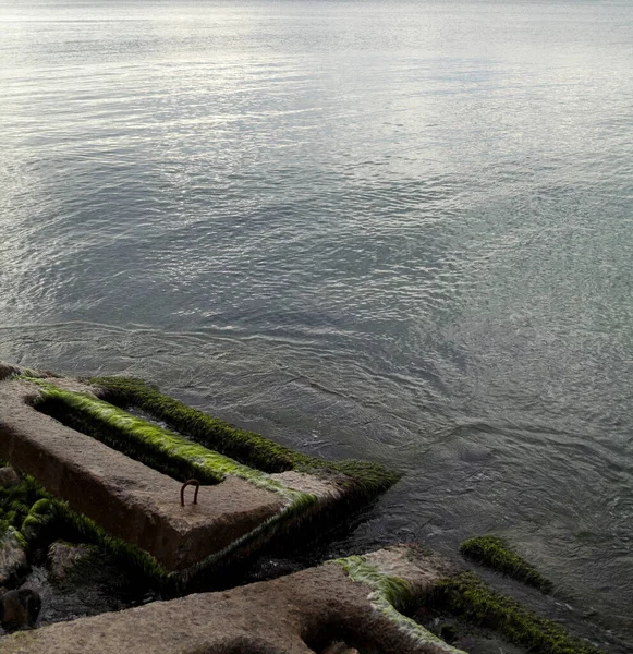 Defensa Costera Costa Muro Mar Malecón Rompeolas Bloques Hormigón Piedras — Foto de Stock