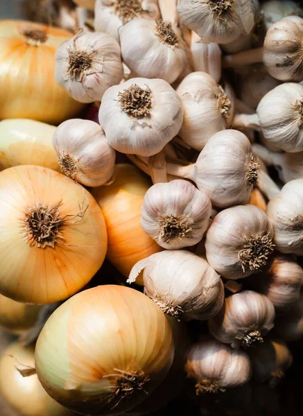 Sarımsak ve soğan. Çelenkler. Zengin hasat. Tarım ve tarım.