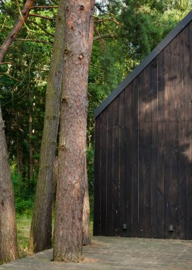 Kozalaklı ormandaki modern kamp evi. Tatil için kiraladım. Kamp kulübesi. Arka plan.