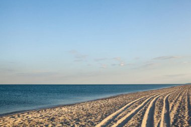 Deniz kıyısında. Kumsalda tekerlek izleri. Karadeniz, Odessa bölgesi, Ukrayna.