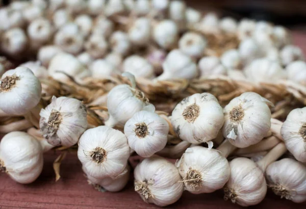 Coronas Ajo Cultivando Ajo Cosecha Rica Agricultura Agricultura — Foto de Stock