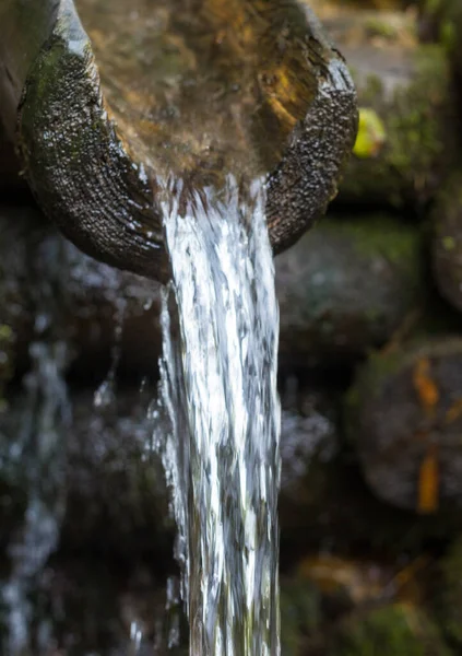 Arroyo Montaña Tronco Madera Bien Moss Los Troncos Agua Corriente — Foto de Stock