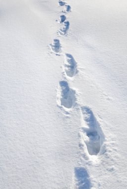 Kışın beyaz karda ayak izleri. 