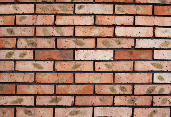 Brick Wall Brick Background Architecture Design — Stockfoto