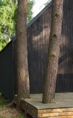 Kozalaklı ormandaki modern kamp evi. Tatil için kiraladım. Kamp kulübesi. Arka plan.