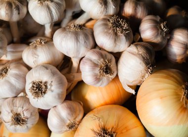 Sarımsak ve soğan. Çelenkler. Zengin hasat. Tarım ve tarım.