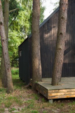 Kozalaklı ormandaki modern kamp evi. Tatil için kiraladım. Kamp kulübesi. Arka plan.