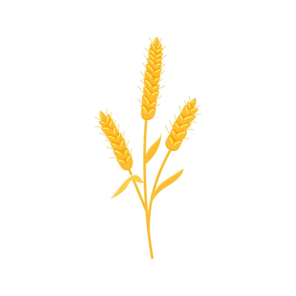 Tarwe spike met graan pictogram geïsoleerd op witte achtergrond. Vectorbeelden