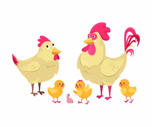 Gallina e gallo con galline su fondo bianco. Carino pollo famiglia con polli in stile cartone animato su uno sfondo isolato. — Vettoriale Stock