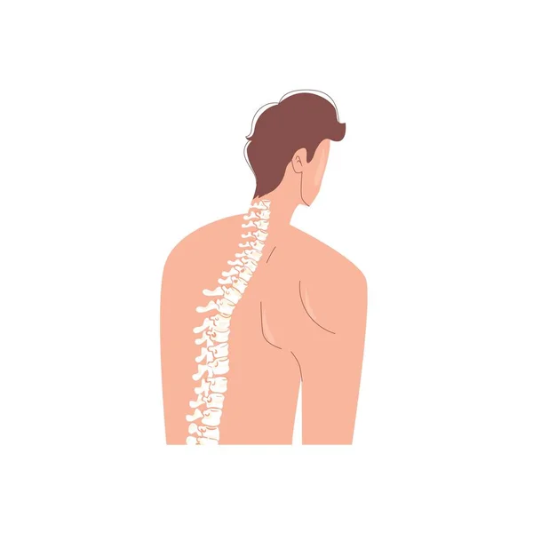 Plano de dibujos animados persona columna vertebral, anatomía esqueleto humano, material educativo vector concepto de ilustración — Vector de stock