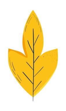 sarı sarmaşık yaprağı