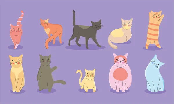 Conjunto de gatos adorables — Archivo Imágenes Vectoriales