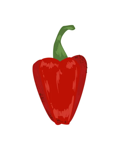 Stor röd paprika — Stock vektor