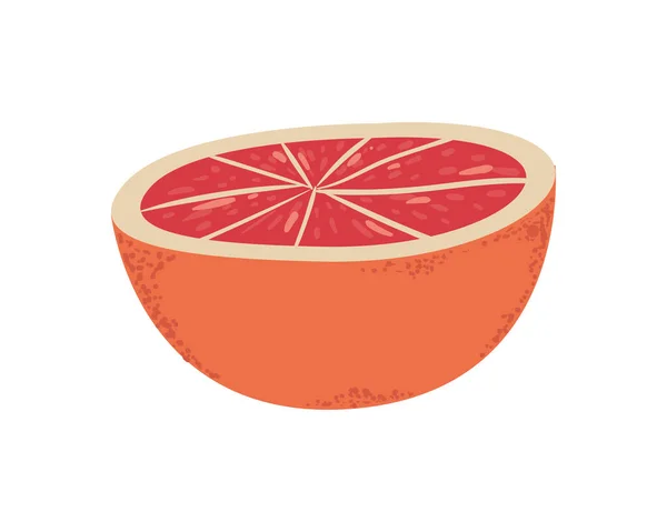 Ilustración rebanada de mandarina — Archivo Imágenes Vectoriales