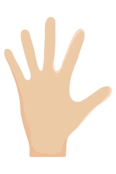 Lidská dlaň — Stockový vektor