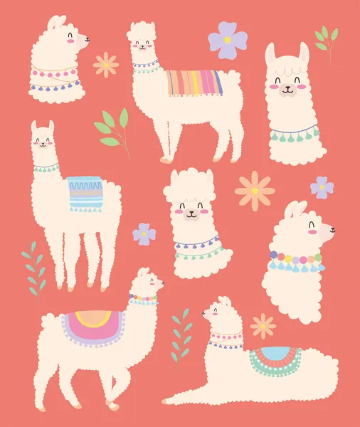 Lamas et fleurs colorées — Image vectorielle