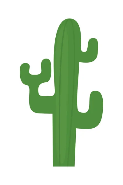 Icône de cactus vert — Image vectorielle