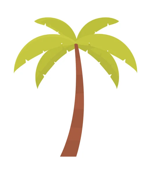 Tropik palmiye simgesi — Stok Vektör