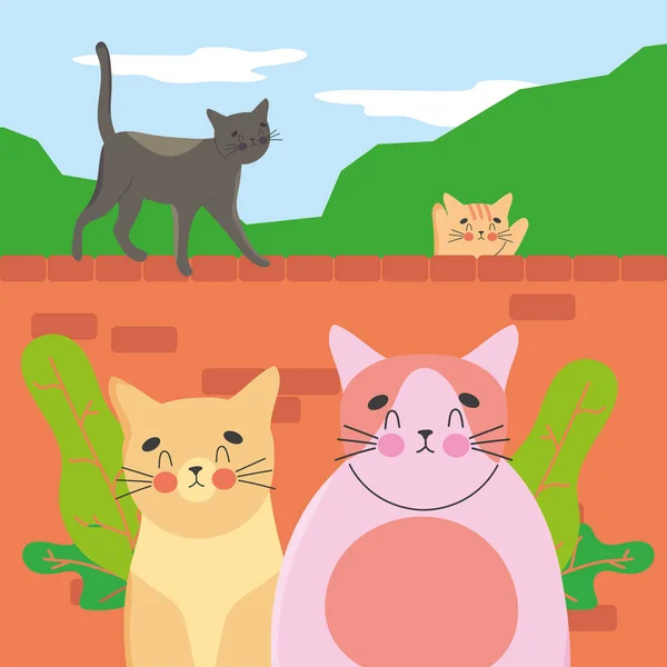 Pretty cats design — Stock Vector