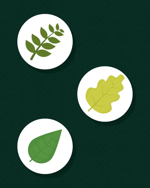 Gröna blad Ikonuppsättning — Stock vektor